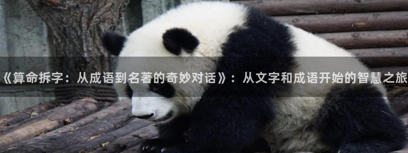 玉楼春在线观看免费完整版西瓜