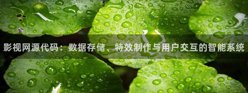 大宋宫词免费观看西瓜