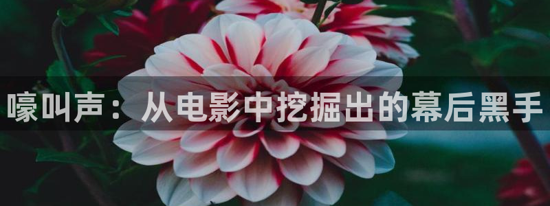 西瓜影院高清免费播放电视剧大全