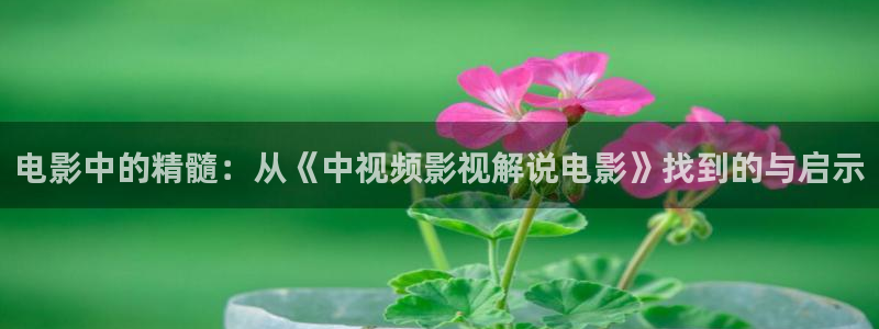 西瓜电影下载