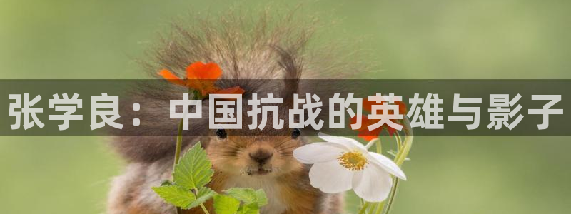 我们的2018在线观看免费西瓜