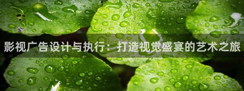 2025西瓜电影免费播放