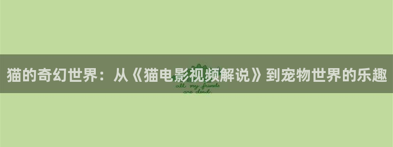 七夜雪电视剧免费观看西瓜影院