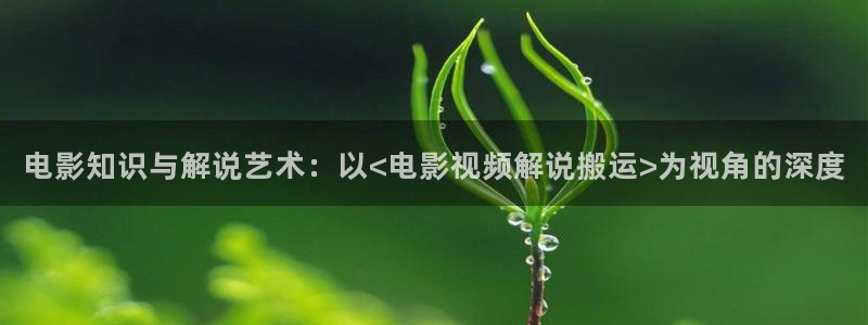 动物管理局电视剧免费观看西瓜