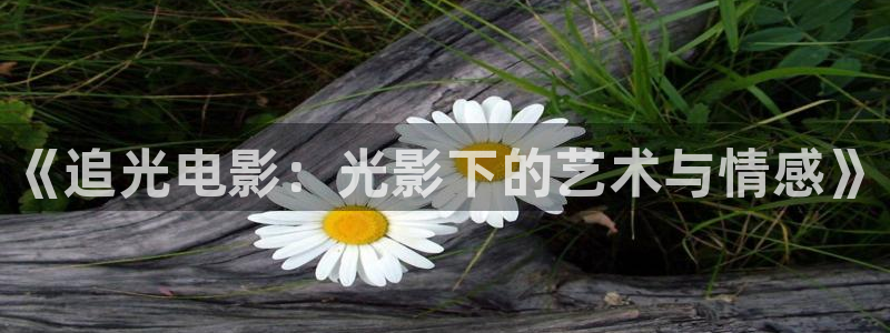 西瓜影院在线免费观看高清