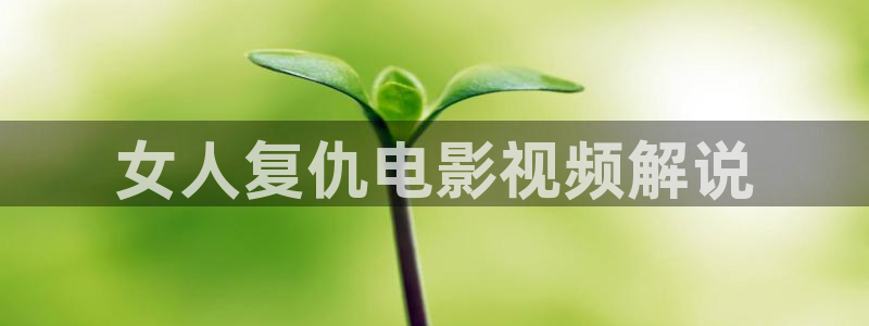 少帅电视剧全集免费观看西瓜
