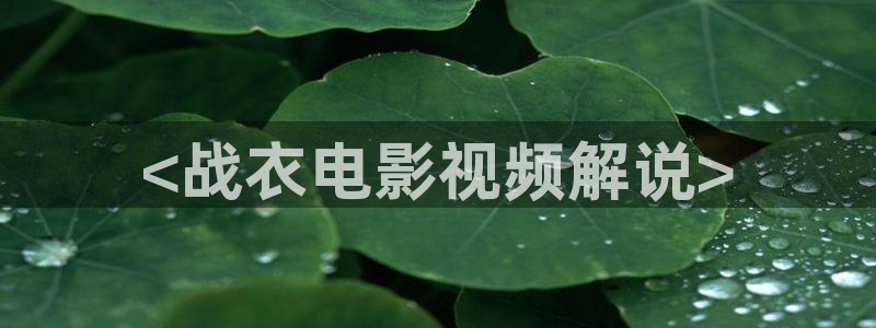 新闻图片