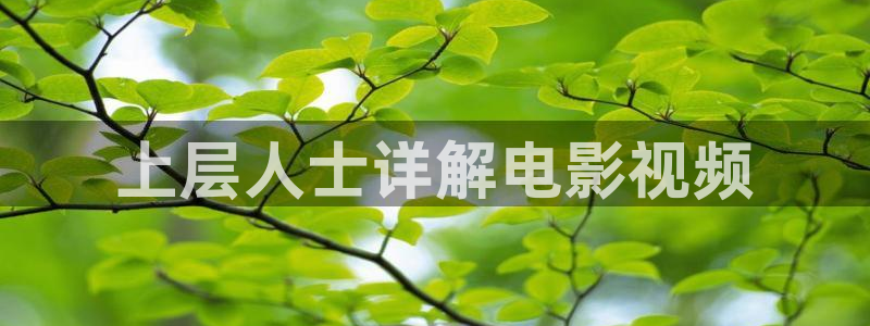 今生有你电视剧西瓜免费观看