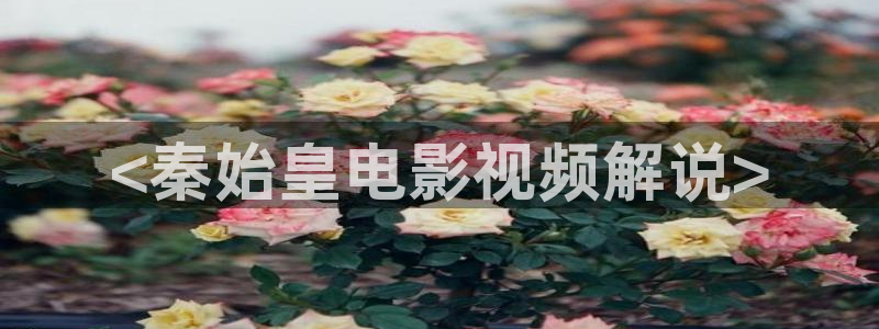 高端 西瓜