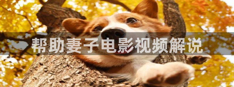 西瓜的图片大全