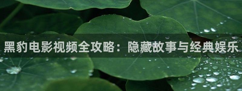 五十玫瑰电视剧免费观看西瓜