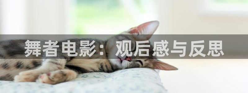 西瓜吧