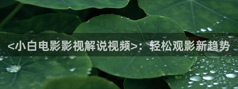 奔跑吧第十季西瓜影院