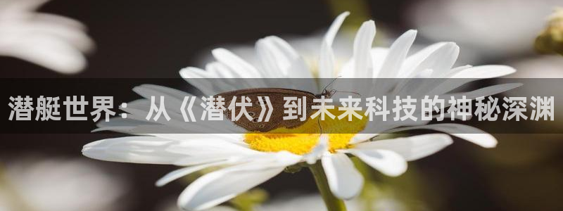 色戒西瓜电影