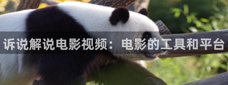 乔家的儿女在西瓜免费观看